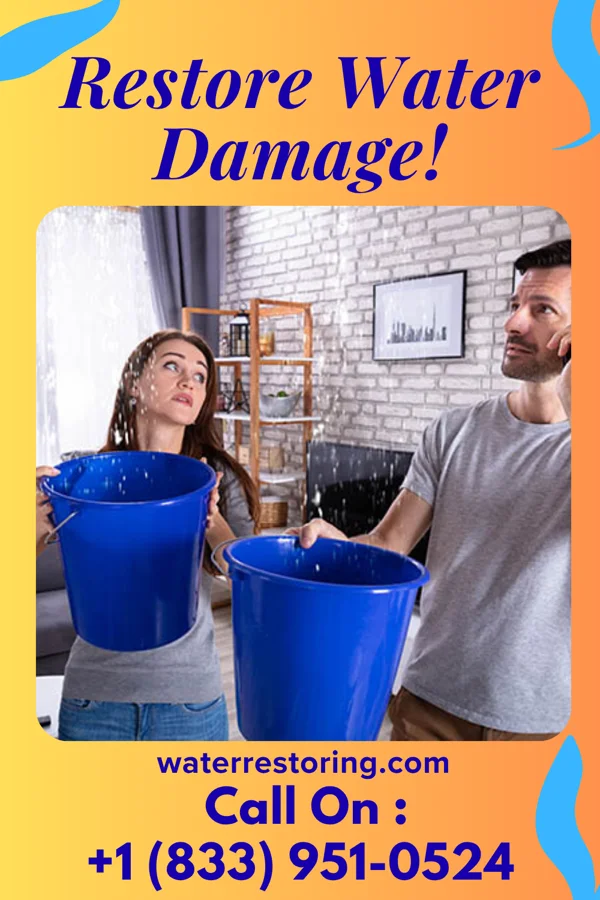 water restoration Eco Flood Damage Force Fonda
