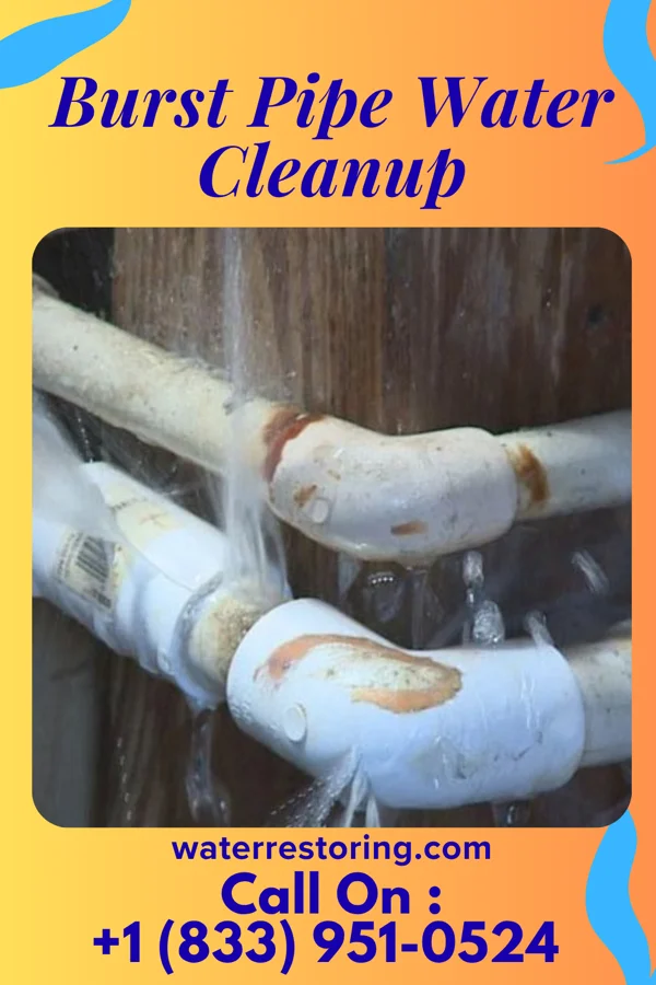 Burst Pipe Water Cleanup in Fonda, NY
