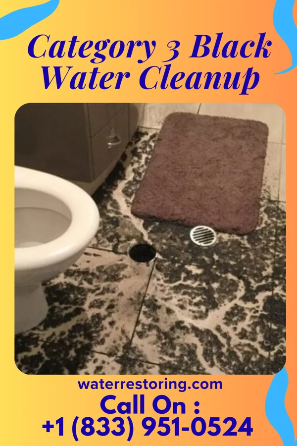 Category 3 Black Water Cleanup in Fonda, NY